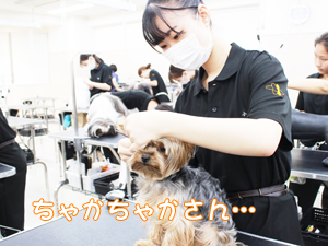 １年生、今日もがんばっています！